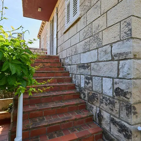 Hedera Estate Hedera A57 Dubrovnik